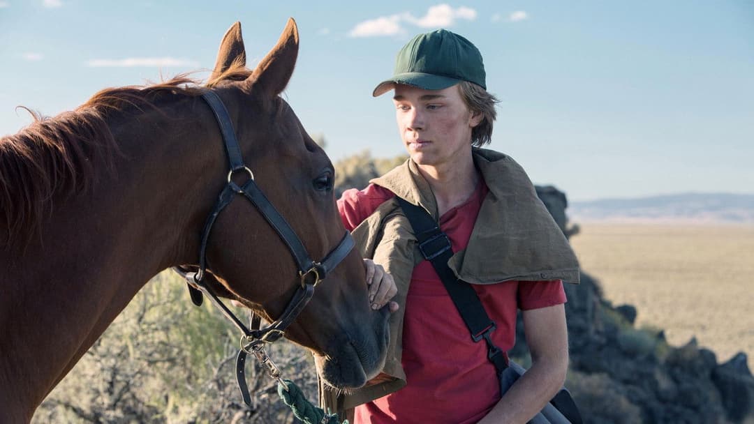 Lean on Pete backdrop 4