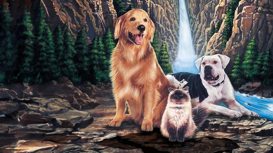 Дорога додому: Неймовірна подорож backdrop 13