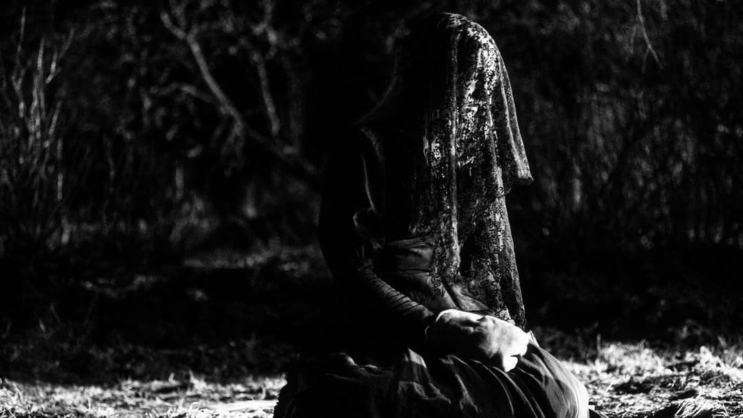 November backdrop 17