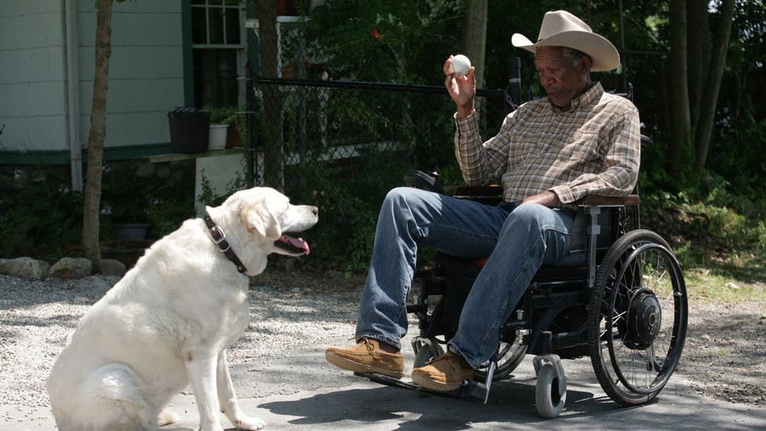 Магія Бель Айл backdrop 3