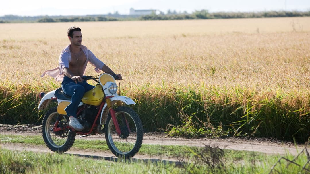 La isla mínima - Mörderland backdrop 16