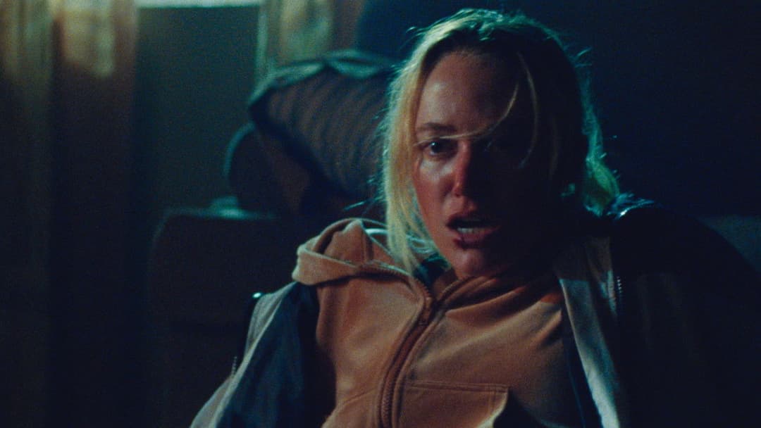 In Cold Light backdrop 4