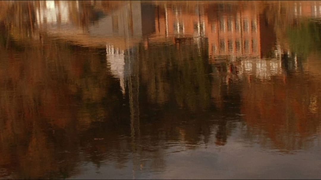 All the Real Girls backdrop 11