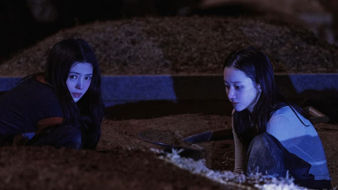 Project Y backdrop 10