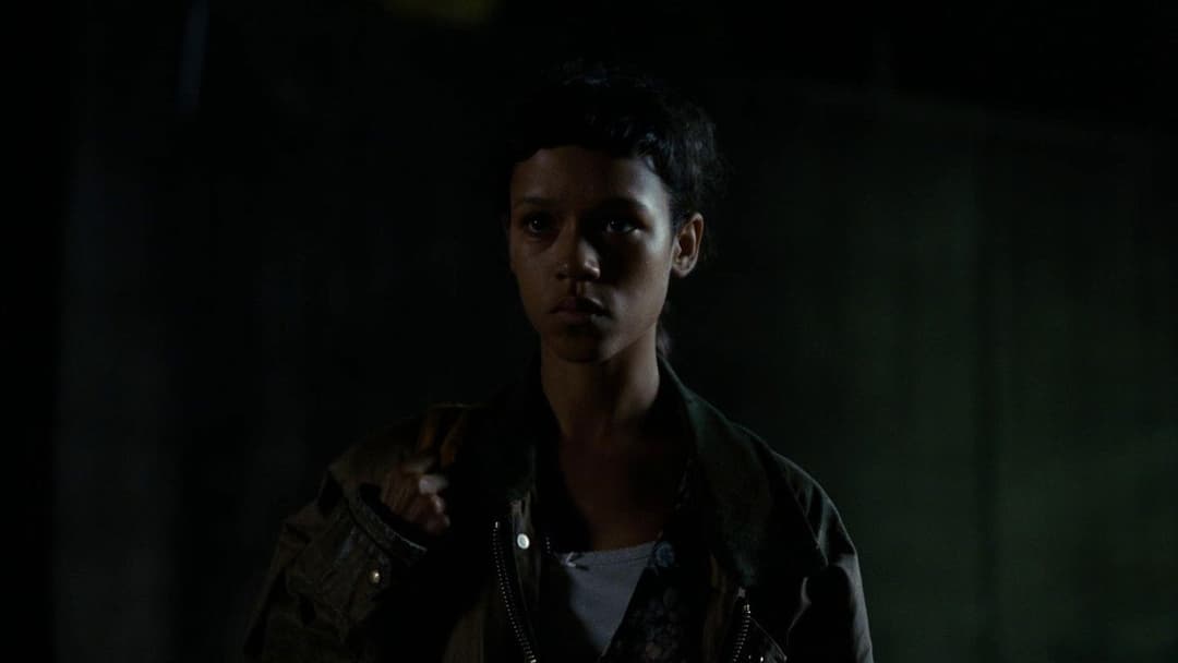 Разом з кістками backdrop 17