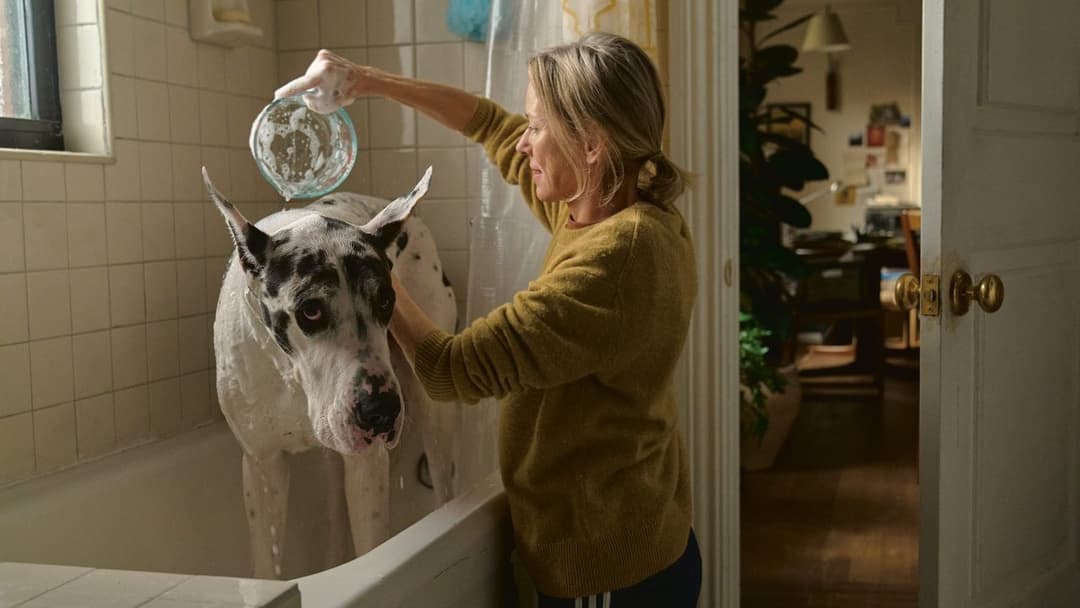 The Friend backdrop 5