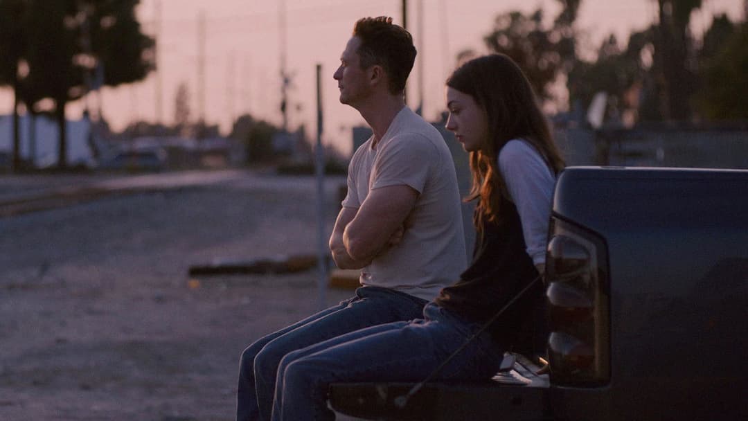 Palm Trees and Power Lines backdrop 3