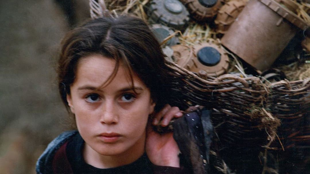 Turtles Can Fly backdrop 14