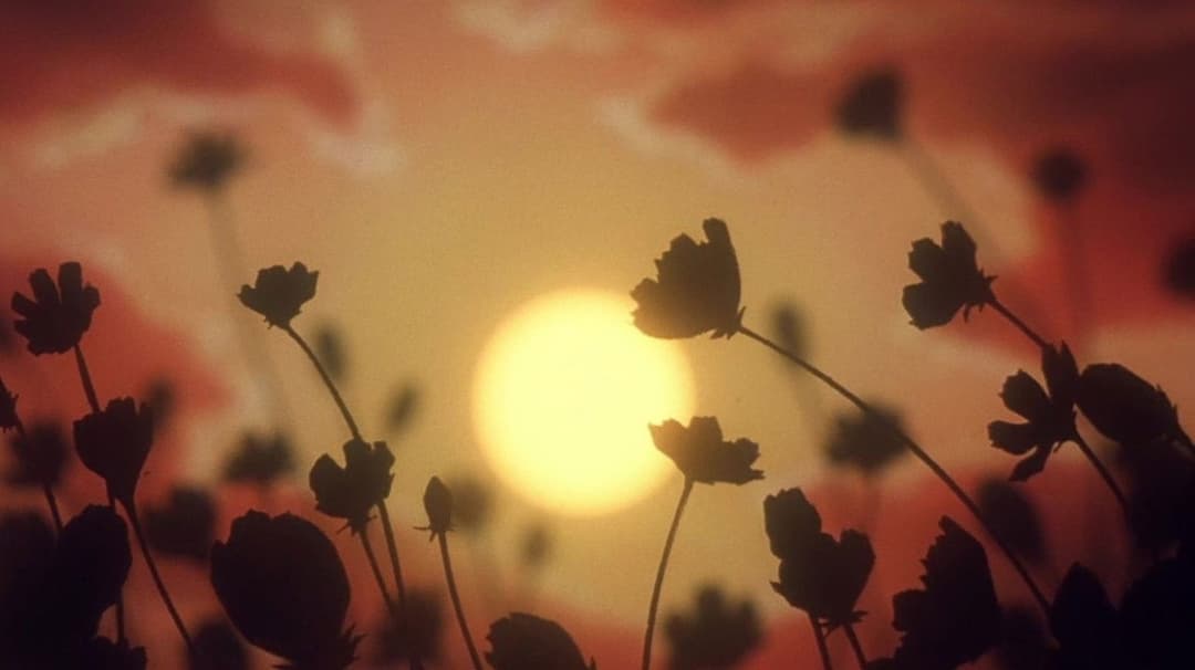 Escaflowne backdrop 4