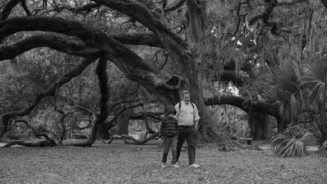 C'mon C'mon backdrop 5