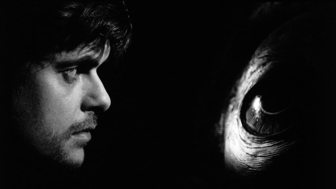 Die Werckmeisterschen Harmonien backdrop 7