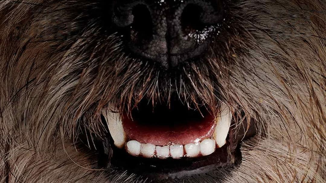 Doggy Style backdrop 4