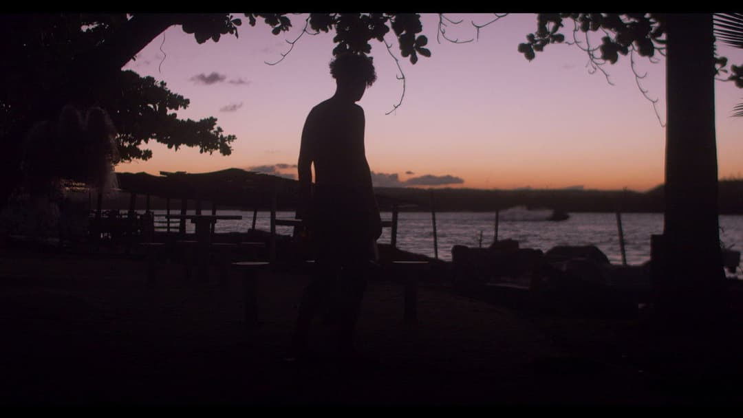 If This Is Cinema, I’m Sorry backdrop 2