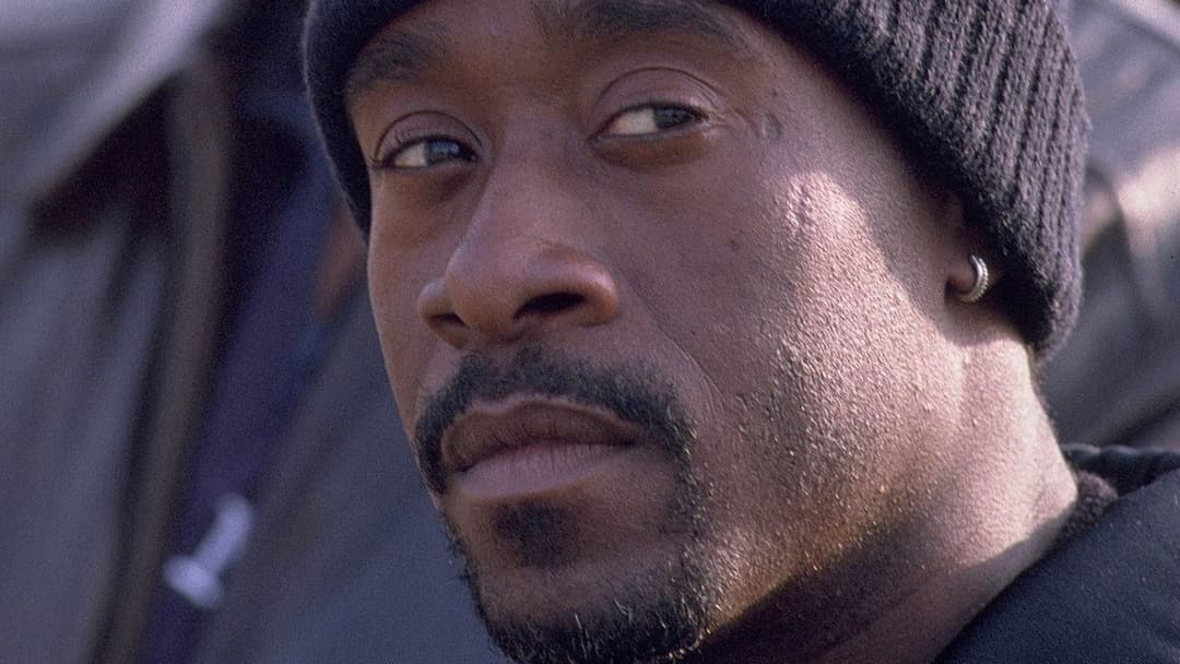 Поза полем зору backdrop 17