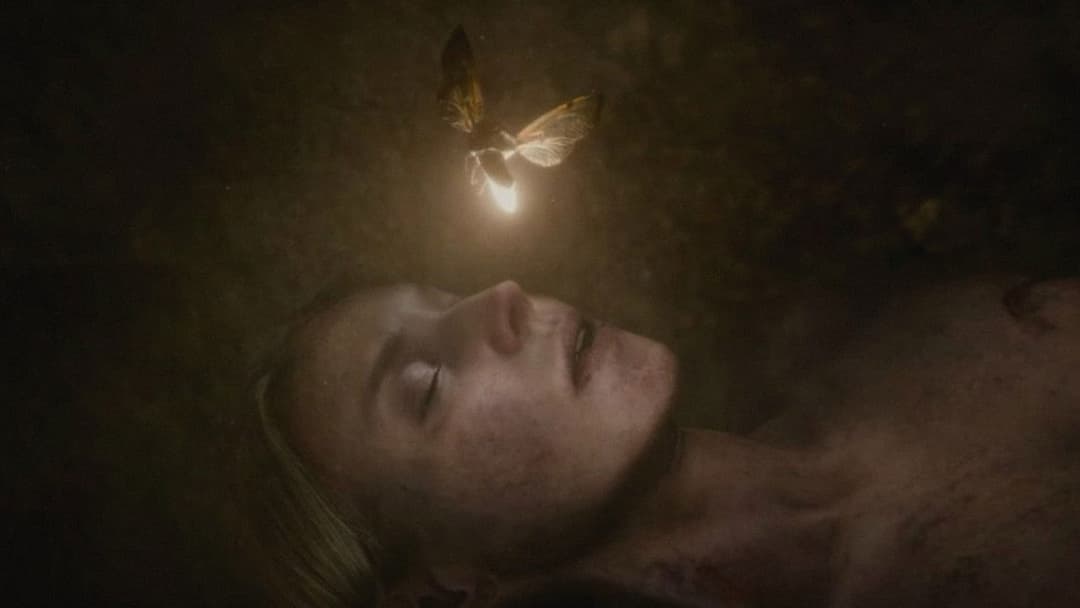 The Shrouds backdrop 20