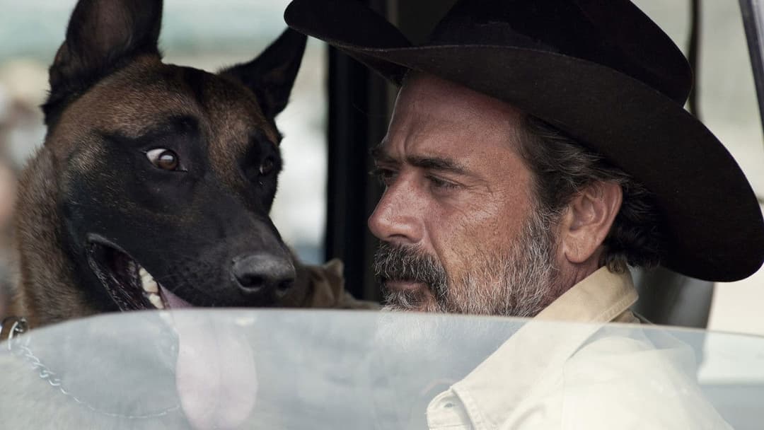 Desierto backdrop 16