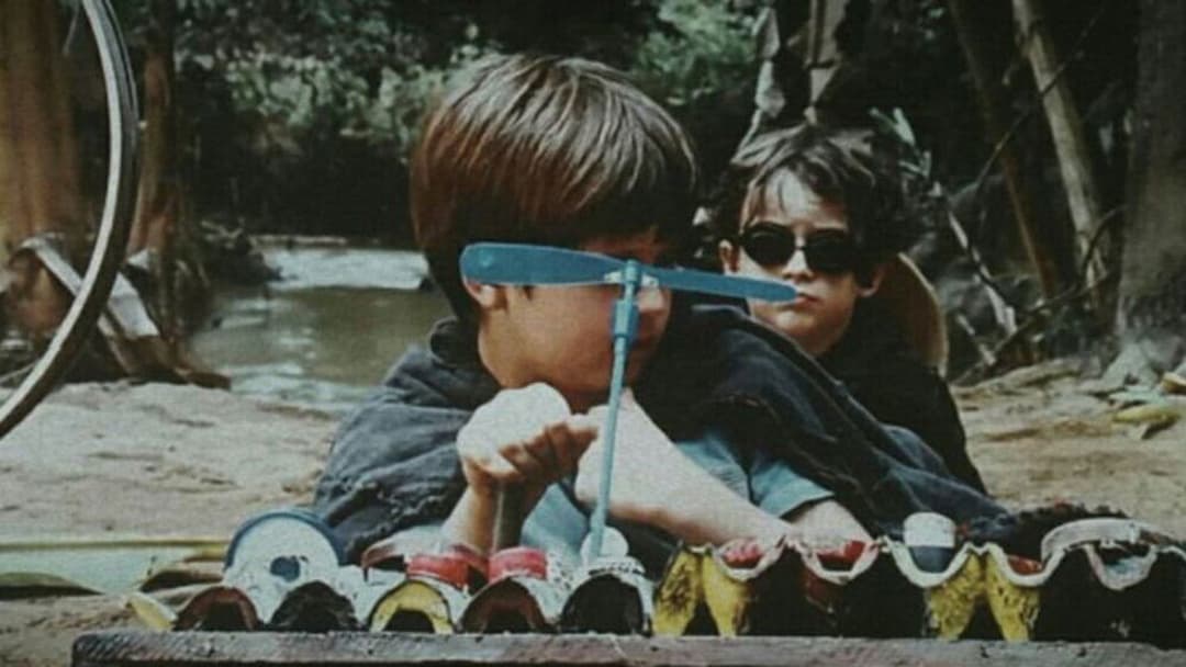 Meu Pé de Laranja Lima backdrop 6