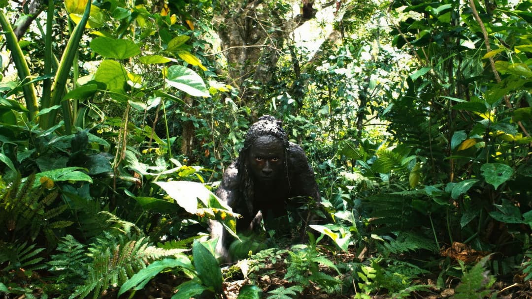 Apocalypto backdrop 13