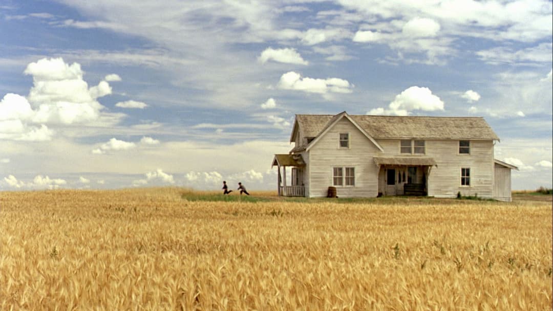 The Reflecting Skin backdrop 8