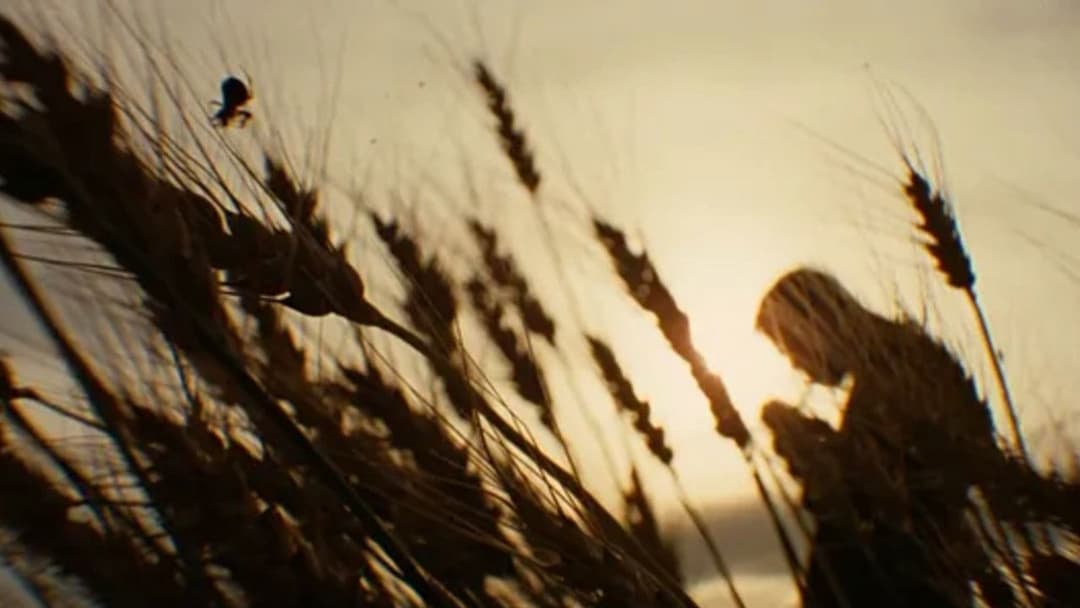 The Assassination of Jesse James by the Coward Robert Ford backdrop 7