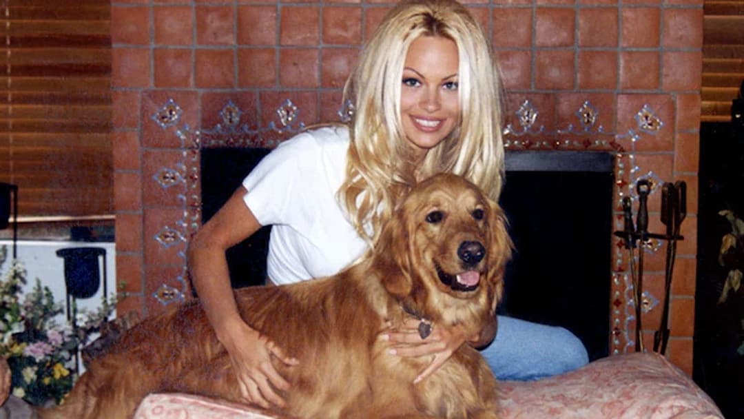 Pamela, A Love Story backdrop 3