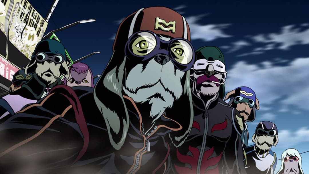 Червона межа backdrop 20