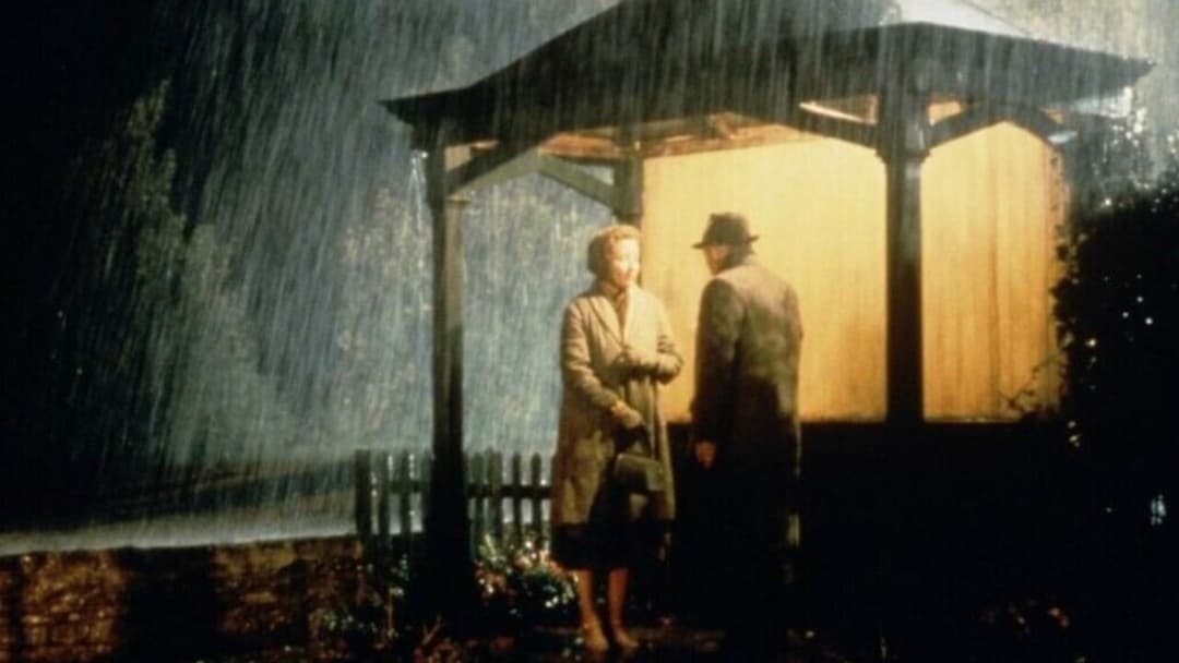 Наприкінці дня backdrop 6