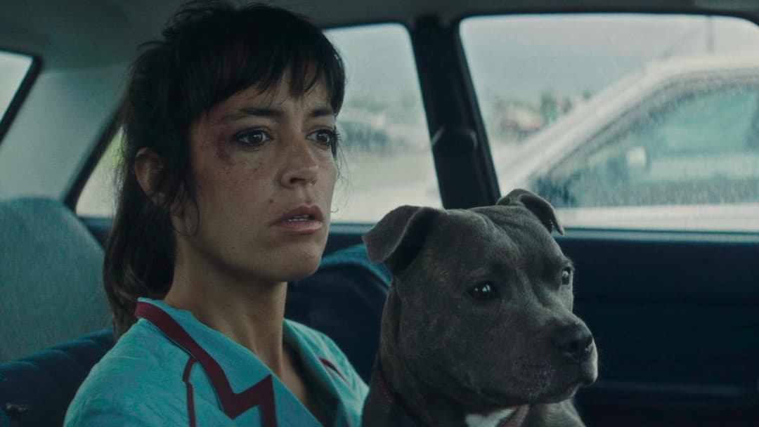 Vincent Must Die backdrop 1