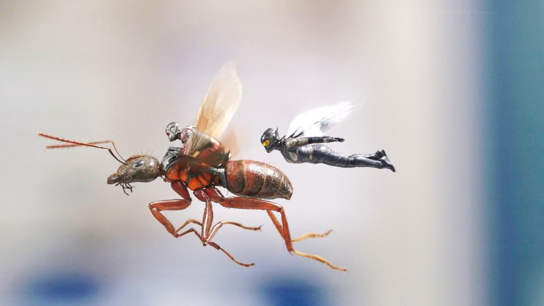 Ant-Man and the Wasp backdrop 7