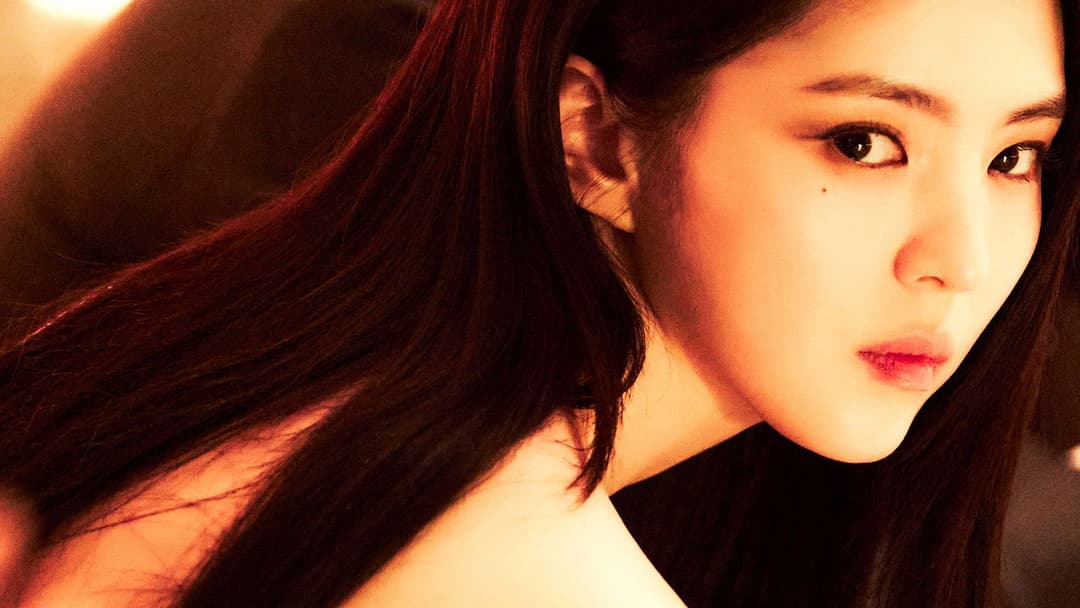 Project Y backdrop 17