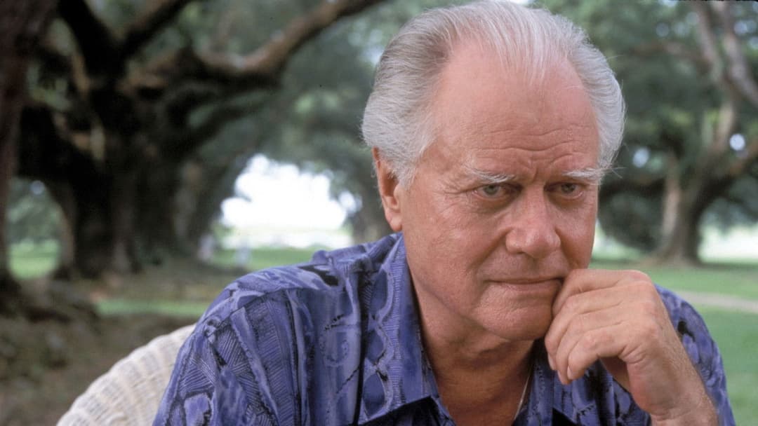 Primary Colors backdrop 6