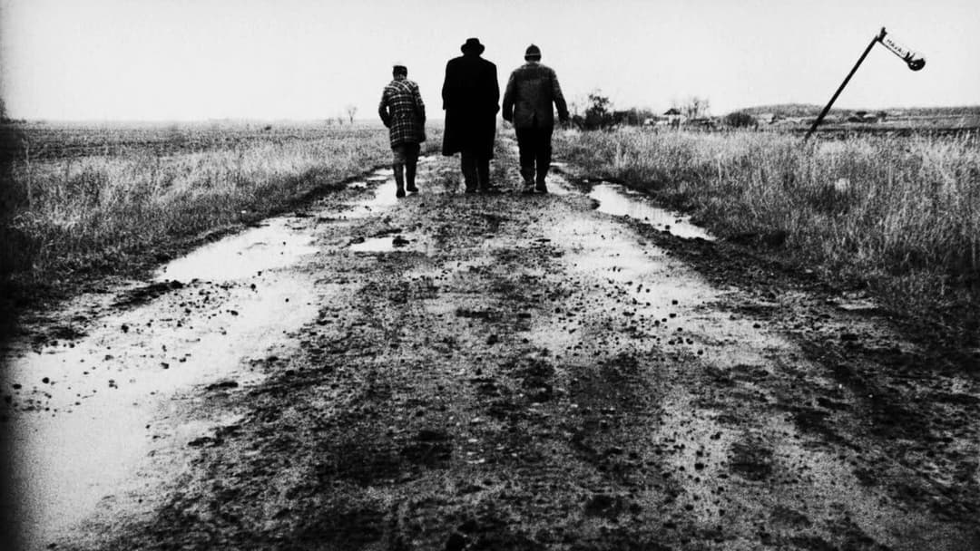 Satantango backdrop 8