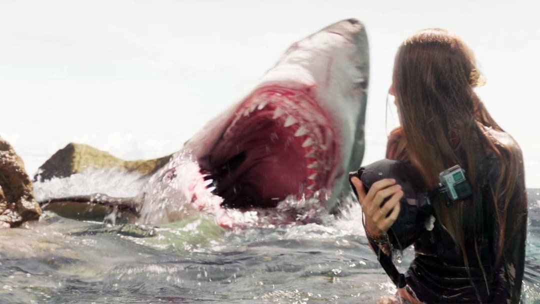 The Shallows backdrop 8