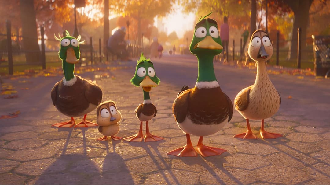 Переліт backdrop 8