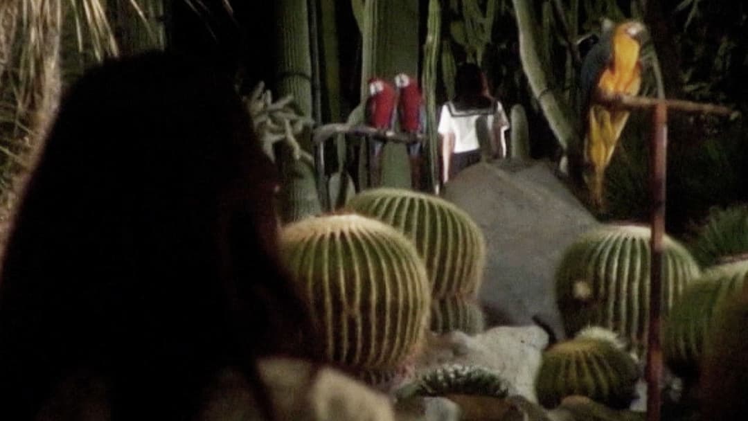 紀子の食卓 backdrop 8