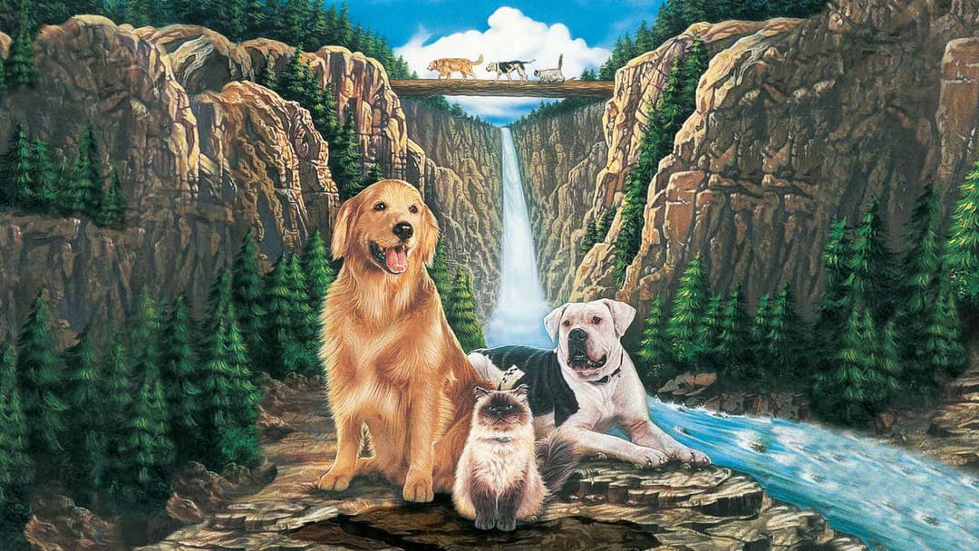 Дорога додому: Неймовірна подорож backdrop 2