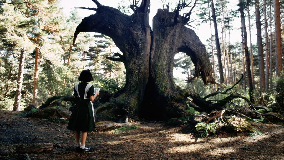 Лабіринт Фавна backdrop 5