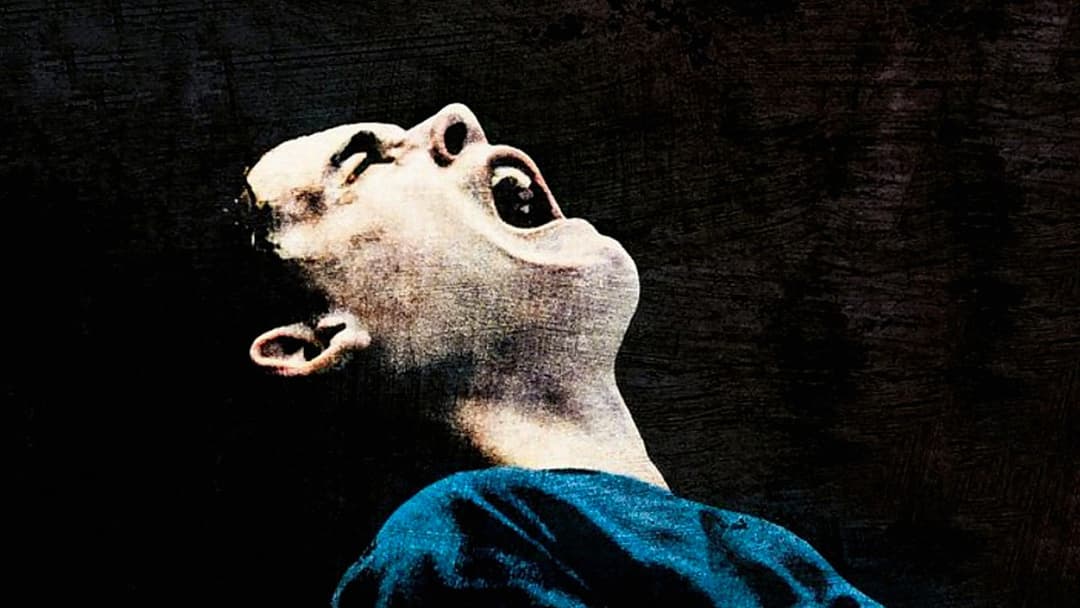 Dog Pound backdrop 5