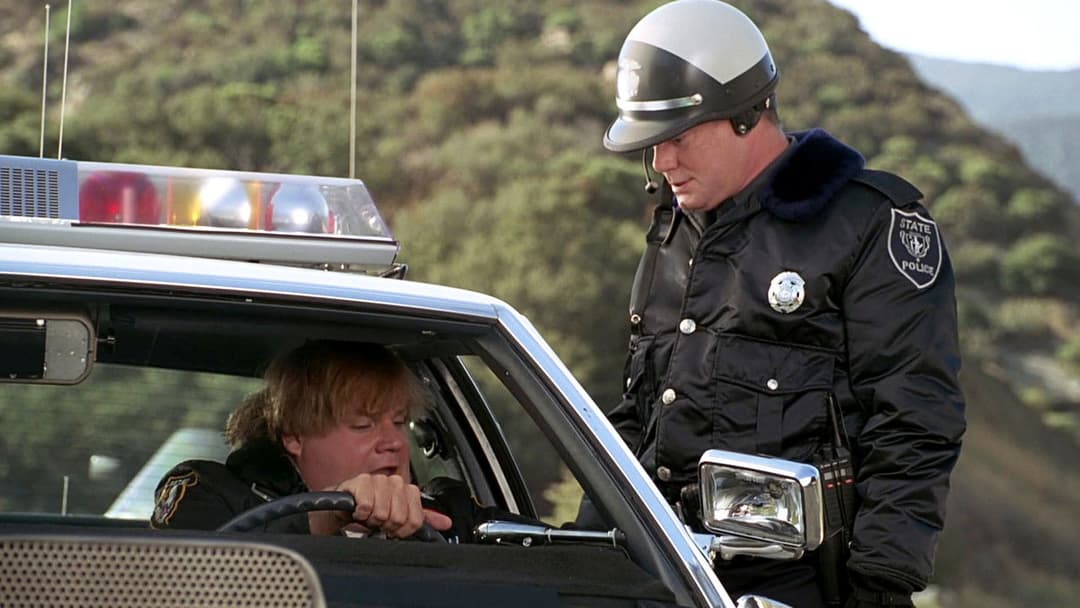 Black Sheep backdrop 7