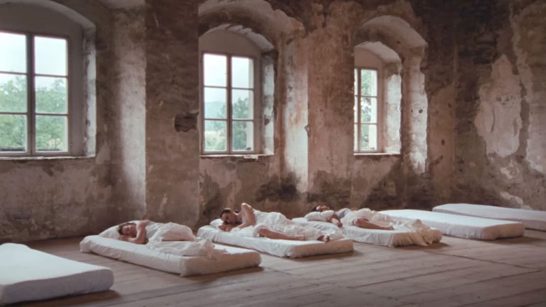 Glorious Summer backdrop 2