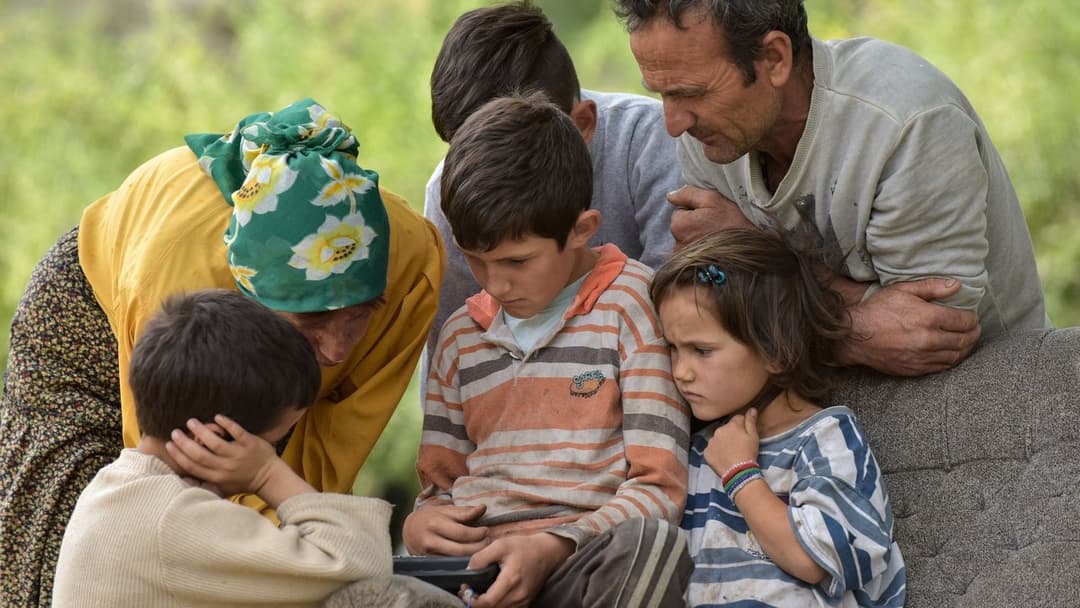 Honeyland backdrop 7