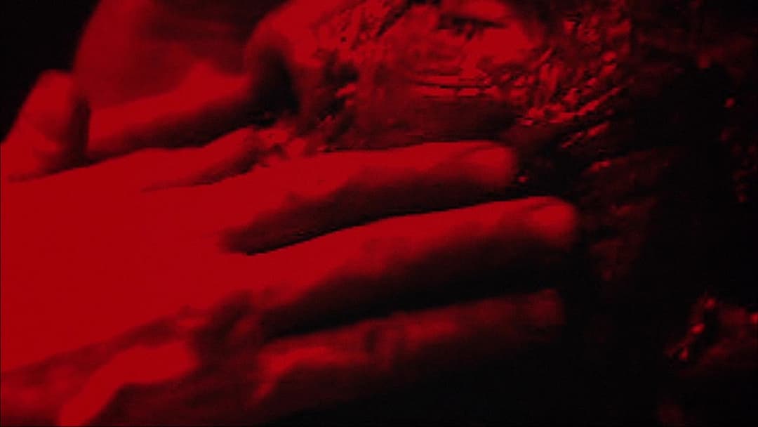 Будинок тисячі трупів backdrop 12