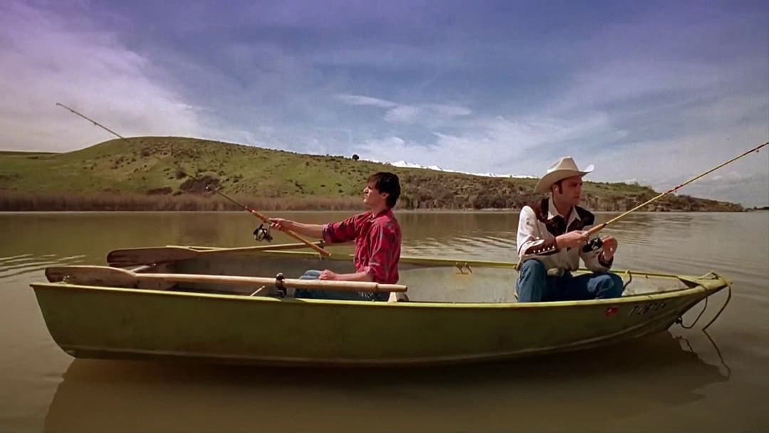 Мішені backdrop 5