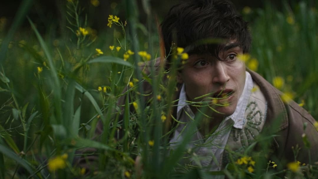 Para atrapar el viento backdrop 7