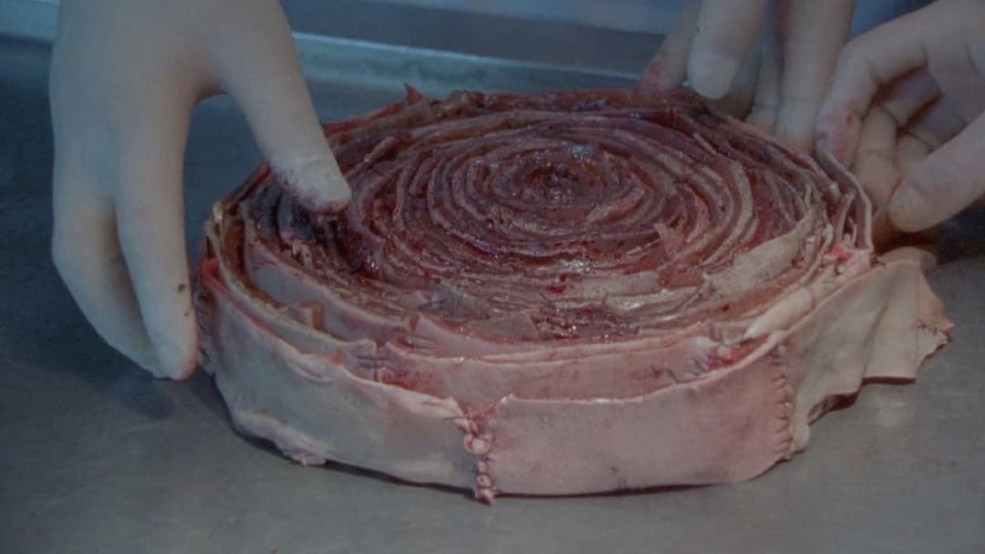 Suicide Club backdrop 6