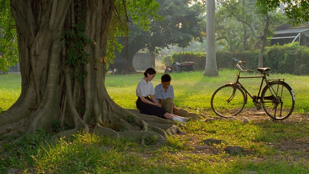 Ein Sommer zum Verlieben backdrop 12