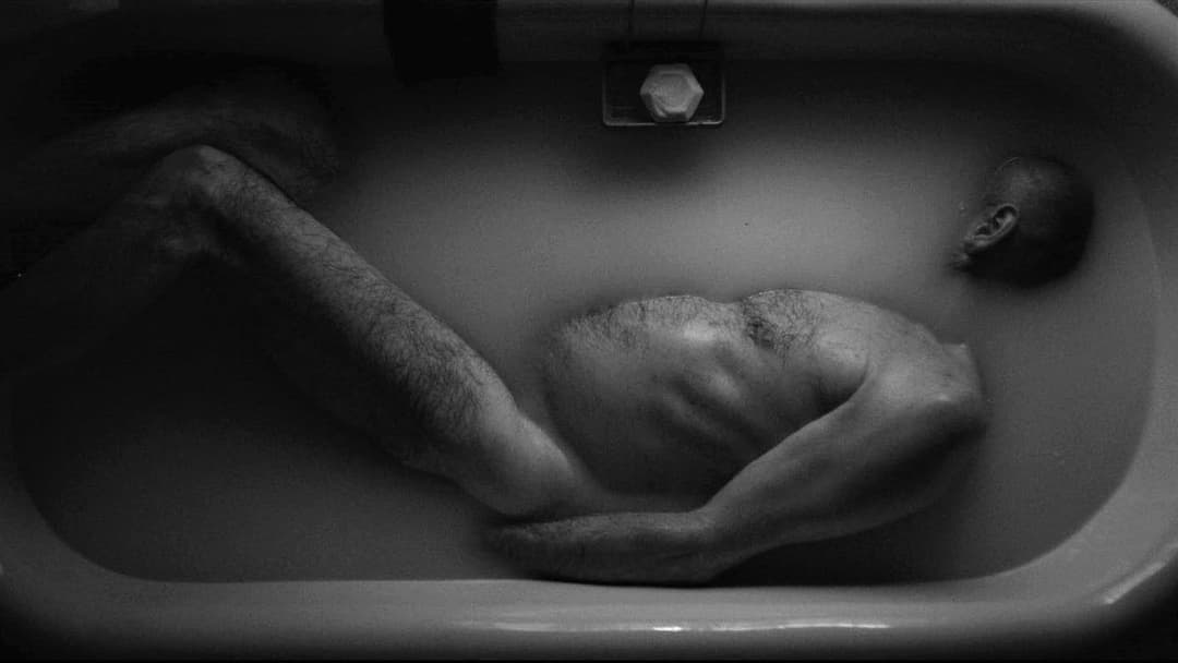 Очі моєї матері backdrop 5