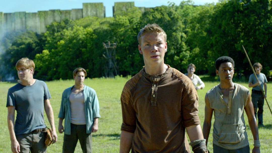 The Maze Runner backdrop 17