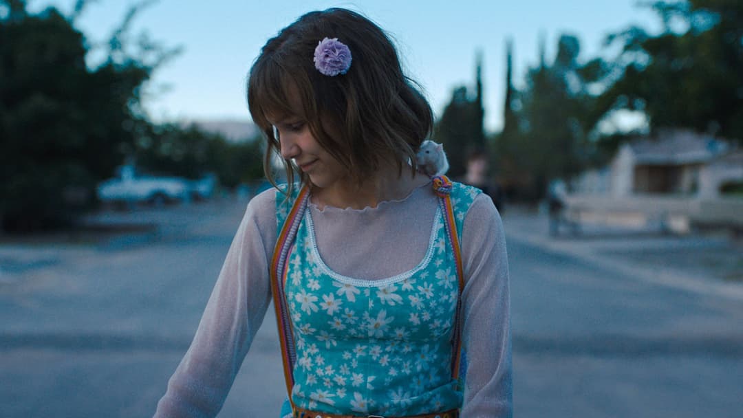 Старґьорл backdrop 7