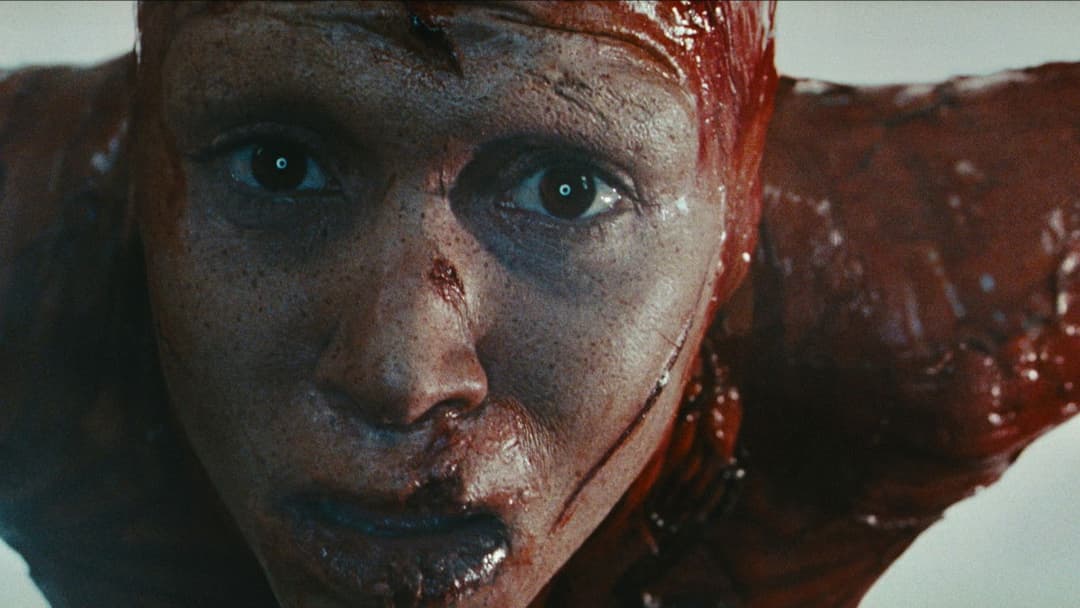 Мучениці backdrop 15